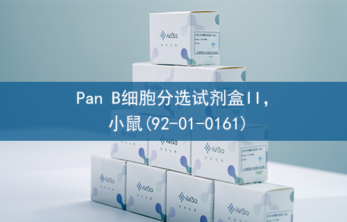 Pan B细胞分选试剂盒II，小鼠(92-01-0161)